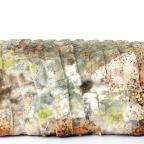 5種狀況可能是黴菌過敏的高風險群！