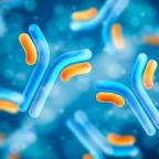 IgE、抗體與張子文教授