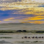 絲路之病，罕見的貝西氏症