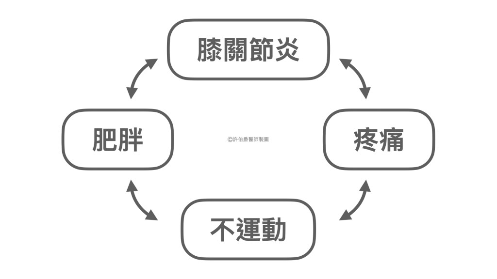 肥胖、膝關節炎、疼痛、不運動是持續的惡性循環。
