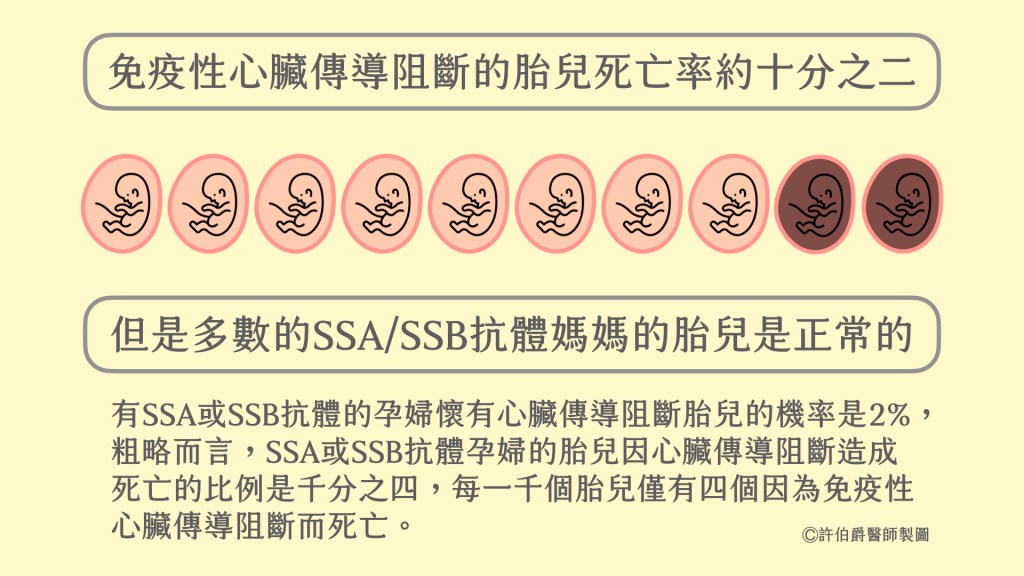 免疫性心臟傳導阻斷的胎兒死亡率雖高，但多數有SSA或SSB抗體媽媽的胎兒是正常的。（許伯爵醫師）